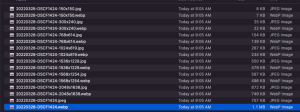 The result of WordPress compressing images locally