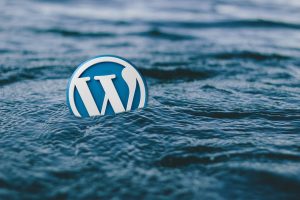 wordpress, water, logo-588494.jpg