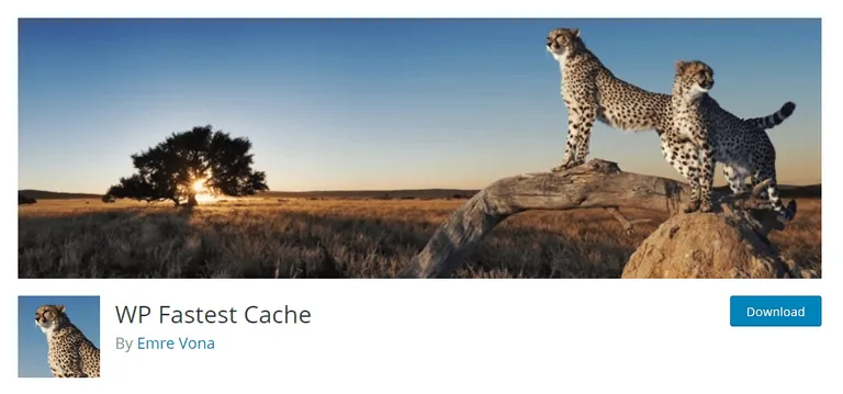 WP Fastest Cache by Emre Vona