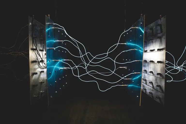 Fixed: Connection Lost. Saving Has Been Disabled [WordPress]
