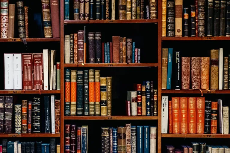 What Is Openverse: The Mega Library for All Creative Commons